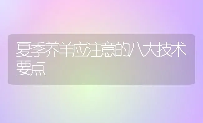 夏季养羊应注意的八大技术要点 | 家畜养殖