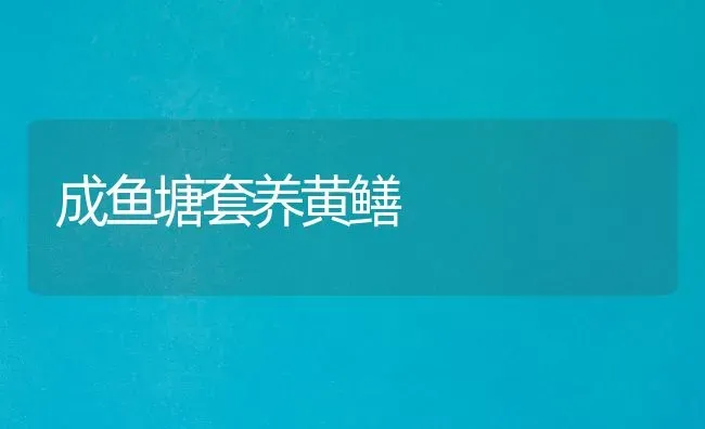 成鱼塘套养黄鳝 | 淡水养殖