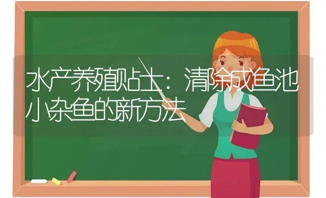 水产养殖贴士：清除成鱼池小杂鱼的新方法 | 动物养殖百科