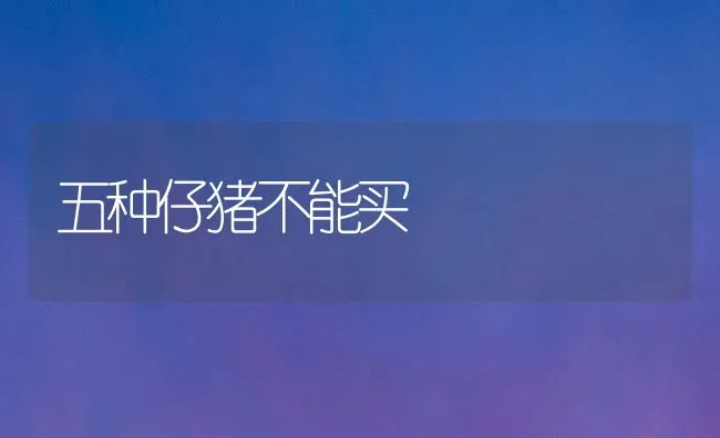 五种仔猪不能买 | 家畜养殖