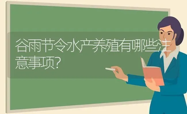 谷雨节令水产养殖有哪些注意事项？ | 动物养殖百科