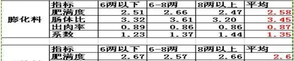 湖北仙桃五湖渔场鳊鱼大面积打样效果展示