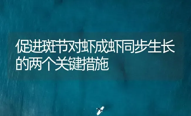 促进斑节对虾成虾同步生长的两个关键措施 | 海水养殖