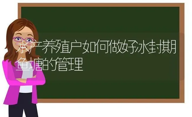 水产养殖户如何做好冰封期鱼塘的管理 | 动物养殖百科