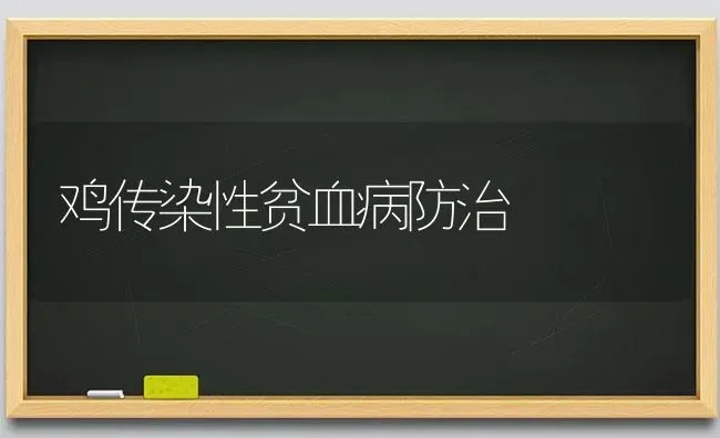 鸡传染性贫血病防治 | 家禽养殖