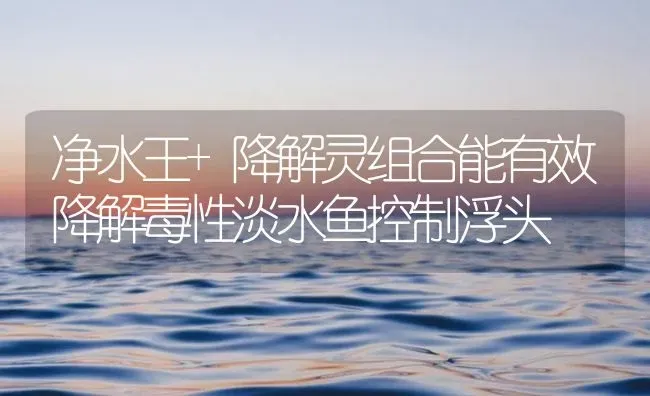 净水王+降解灵组合能有效降解毒性淡水鱼控制浮头 | 养殖病虫害防治