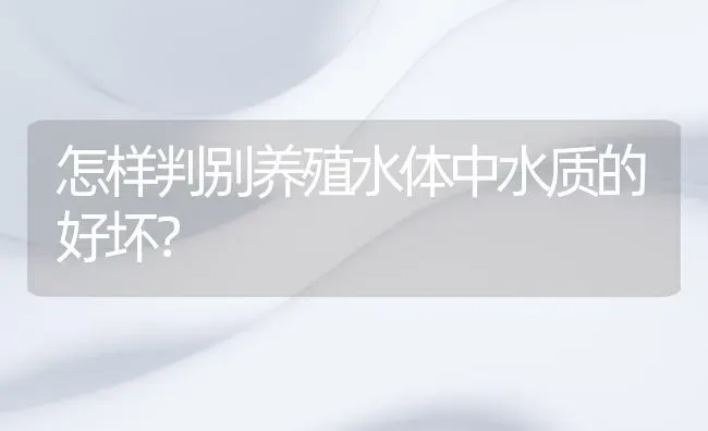 怎样判别养殖水体中水质的好坏？ | 动物养殖百科