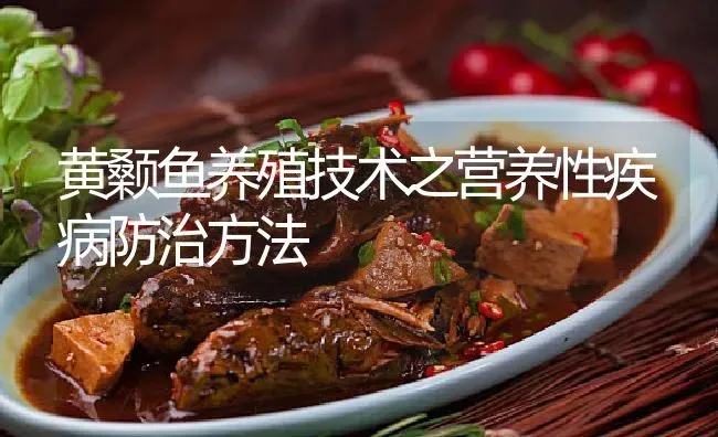 黄颡鱼养殖技术之营养性疾病防治方法 | 淡水养殖
