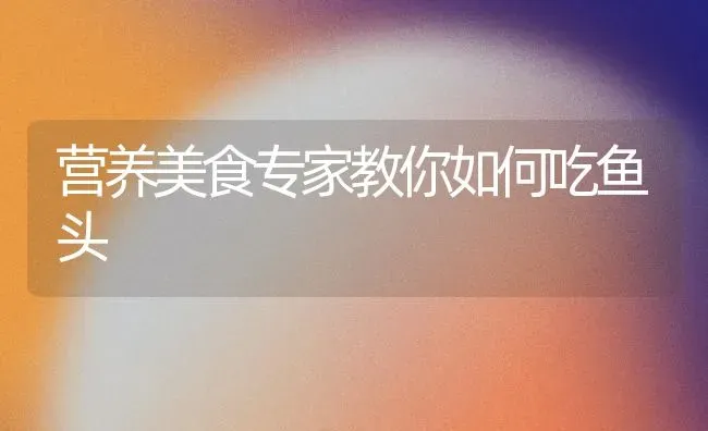 营养美食专家教你如何吃鱼头 | 动物养殖百科