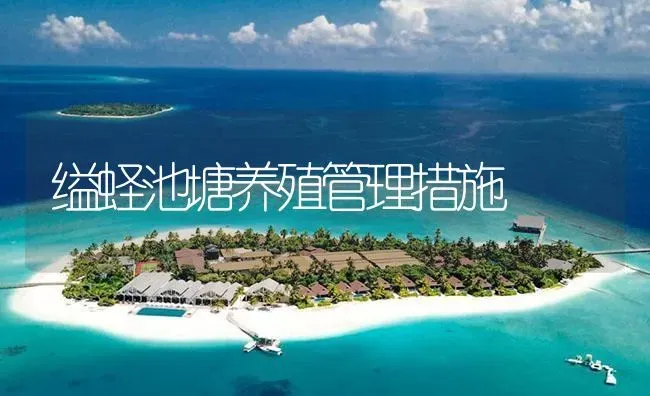 缢蛏池塘养殖管理措施 | 海水养殖
