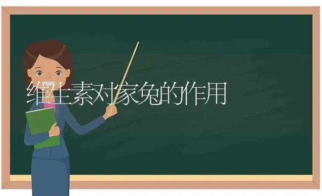 维生素对家兔的作用 | 家畜养殖