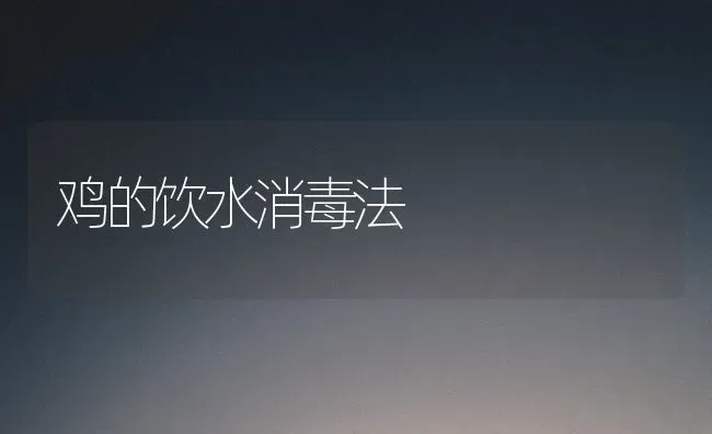 鸡的饮水消毒法 | 家禽养殖