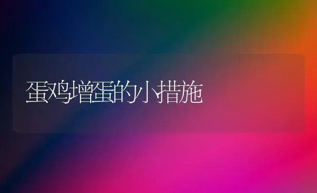 蛋鸡增蛋的小措施 | 家禽养殖