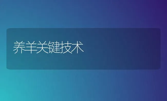 养羊关键技术 | 家畜养殖