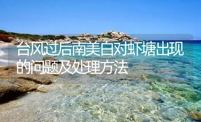 台风过后南美白对虾塘出现的问题及处理方法 | 海水养殖