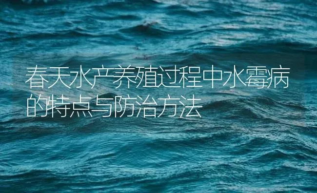 春天水产养殖过程中水霉病的特点与防治方法 | 养殖病虫害防治