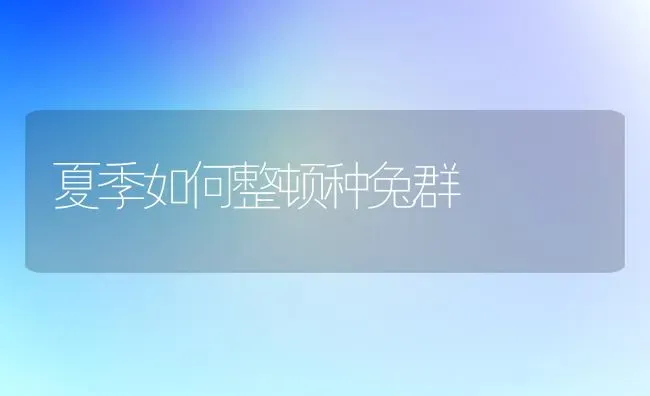 夏季如何整顿种兔群 | 家畜养殖