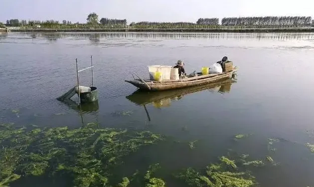 我眼中的生物底改—底改产品中的“鸡肋”！