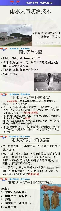 雨水天气对南美白对虾危害及处理方法