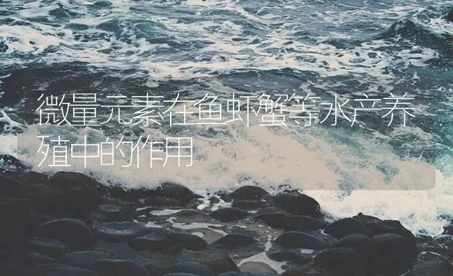 微量元素在鱼虾蟹等水产养殖中的作用 | 海水养殖