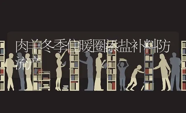 肉羊冬季住暖圈添盐补料防流产 | 家畜养殖