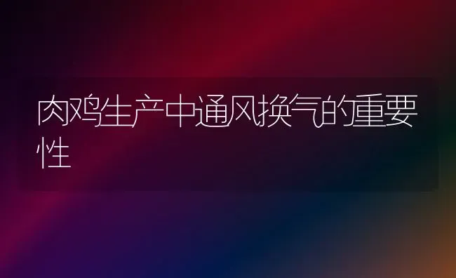 肉鸡生产中通风换气的重要性 | 家禽养殖