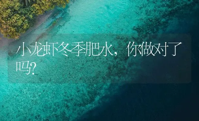 小龙虾冬季肥水，你做对了吗？ | 海水养殖