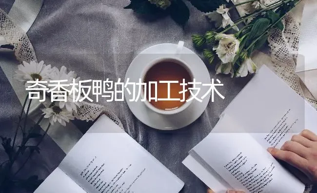 奇香板鸭的加工技术 | 家禽养殖