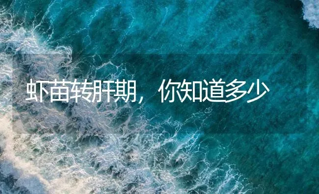 虾苗转肝期，你知道多少 | 海水养殖