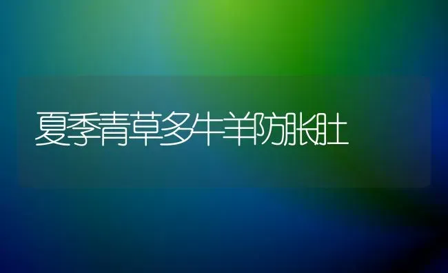 夏季青草多牛羊防胀肚 | 家畜养殖