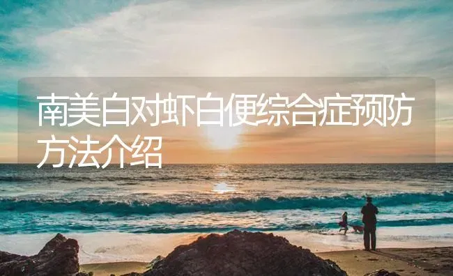 南美白对虾白便综合症预防方法介绍 | 海水养殖