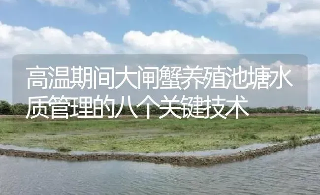 高温期间大闸蟹养殖池塘水质管理的八个关键技术 | 淡水养殖