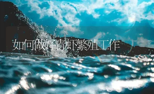 如何做好青虾繁殖工作 | 海水养殖