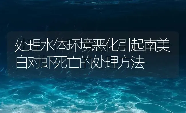 处理水体环境恶化引起南美白对虾死亡的处理方法 | 海水养殖