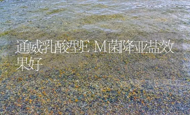 通威乳酸型EM菌降亚盐效果好 | 动物养殖百科