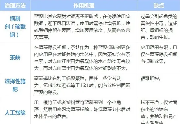 你问我答|蓝藻一发不可收拾，如何科学治理？