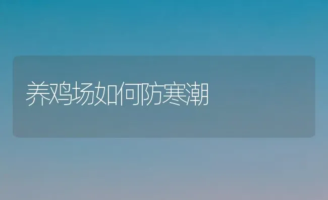 养鸡场如何防寒潮 | 家禽养殖