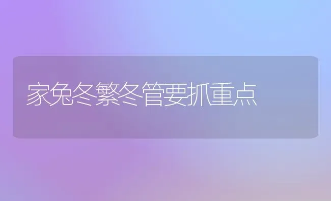 家兔冬繁冬管要抓重点 | 家畜养殖