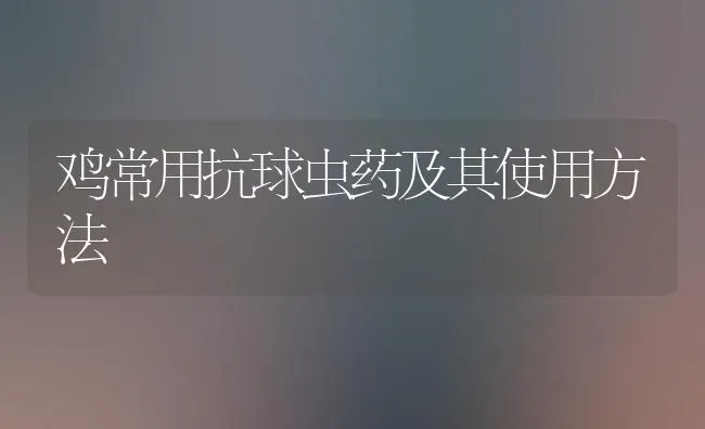 鸡常用抗球虫药及其使用方法 | 养殖病虫害防治