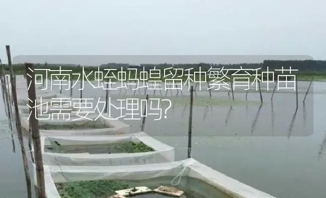 河南水蛭蚂蝗留种繁育种苗池需要处理吗? | 特种养殖