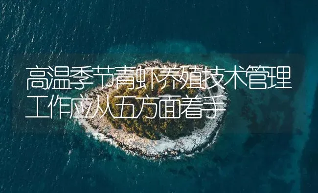 高温季节青虾养殖技术管理工作应从五方面着手 | 海水养殖