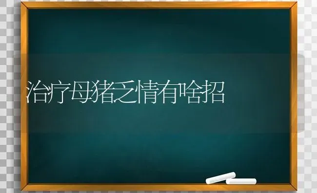 治疗母猪乏情有啥招 | 家畜养殖