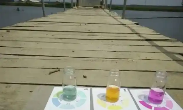 成功处理由用药不当引起的水质突变、鱼不吃食