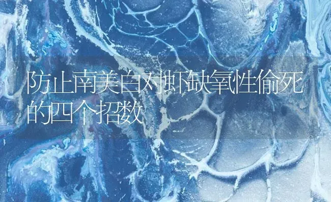 防止南美白对虾缺氧性偷死的四个招数 | 海水养殖