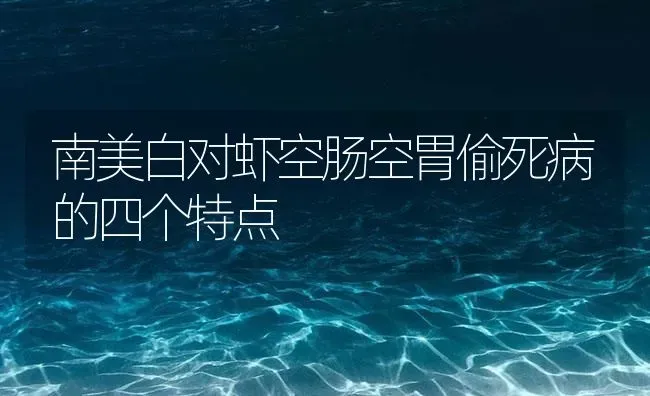 南美白对虾空肠空胃偷死病的四个特点 | 海水养殖