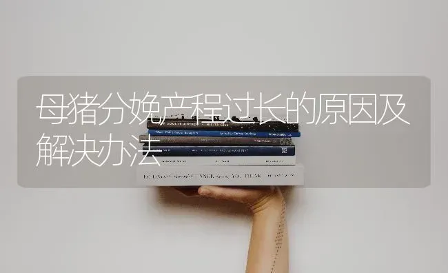 母猪分娩产程过长的原因及解决办法 | 家畜养殖