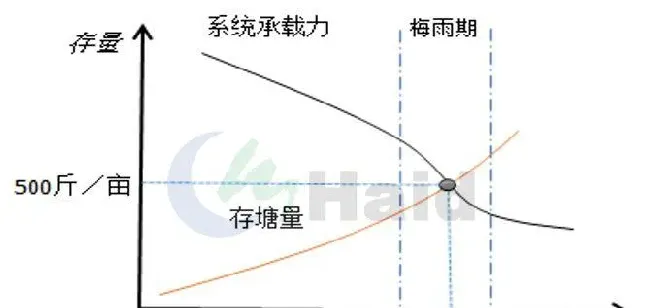 这种模式将白对虾养殖成功率提高40%，改进后还有提高空间！