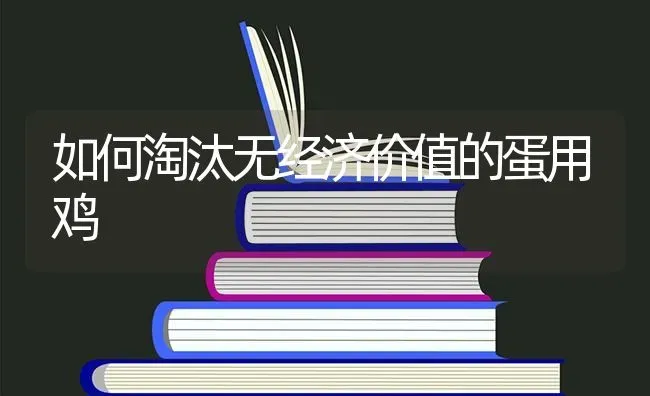 如何淘汰无经济价值的蛋用鸡 | 家禽养殖