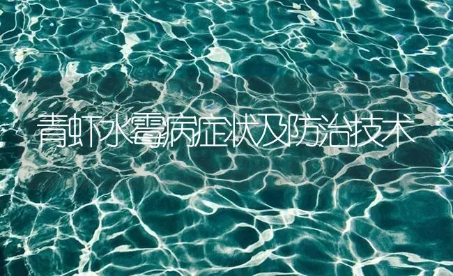 青虾水霉病症状及防治技术 | 海水养殖