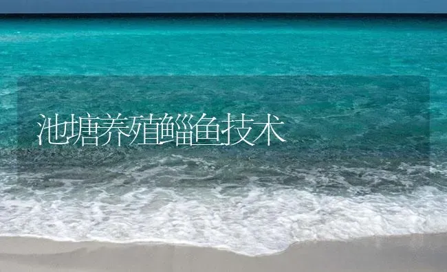 池塘养殖鲻鱼技术 | 海水养殖